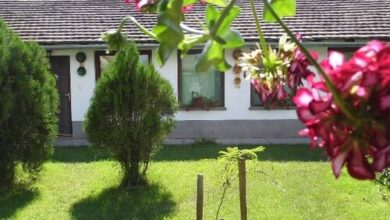 Kutasipuszta Vendégház Székkutas 