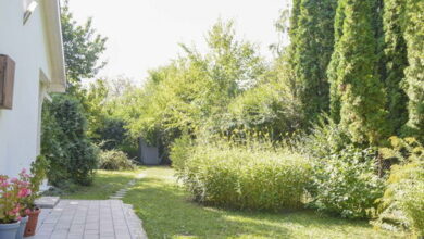 Kuvik Vendégház Velence 