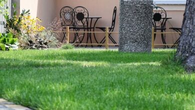 La Mia Casa Vendégház Kaposvár 