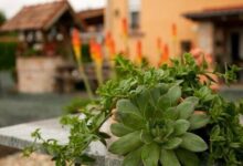 La Villa Pergola Szentgotthárd 