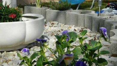 Lackó Kuckó Balatonlelle 