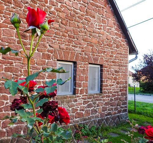 Lake Vendégház Alsóörs 