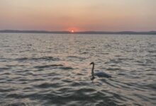 Lakeside Home Apartman Balatonszárszó 