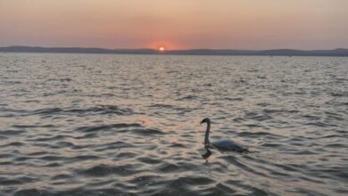 Lakeside Home Apartman Balatonszárszó 