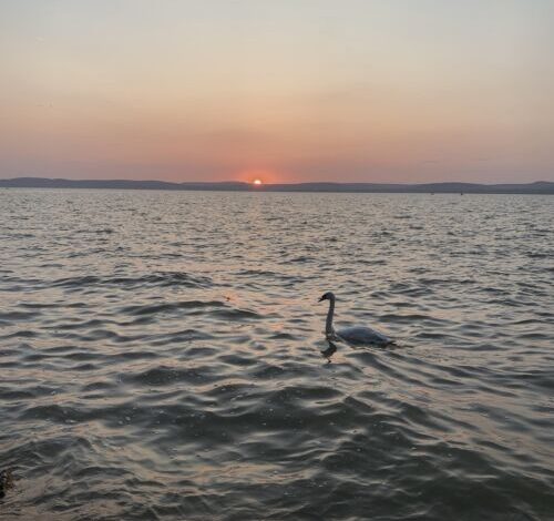 Lakeside Home Apartman Balatonszárszó 