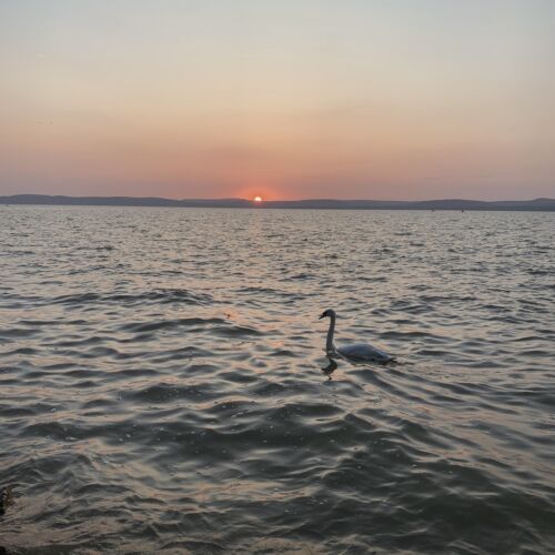 Lakeside Home Apartman Balatonszárszó