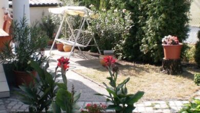 Leander Apartman Balatonfenyves 