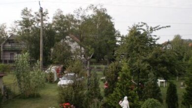 Leander Apartman Balatonmáriafürdő 