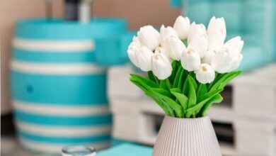 Leila Apartman Balatonkenese 