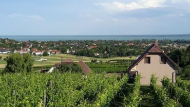 Lekics Pince és Vendégház Balatongyörök 