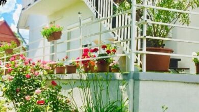 Lelle-kert Apartman Balatonlelle 