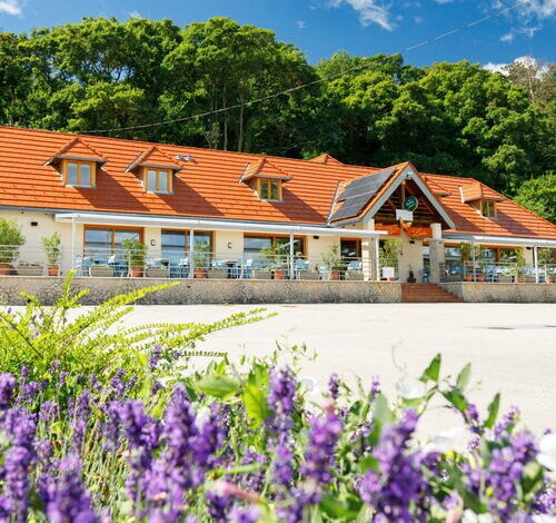 Lepke Étterem és Apartmanház Tihany 