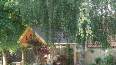 Levandium Apartman Miskolc 