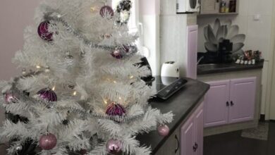 Levendula Apartman Makó 