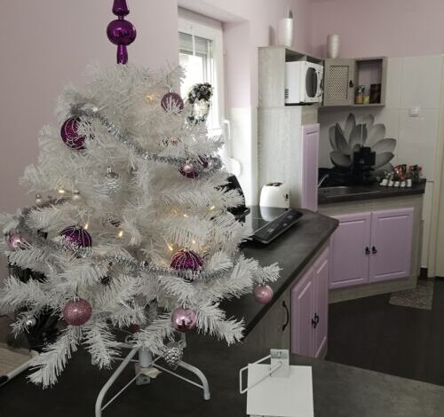 Levendula Apartman Makó 