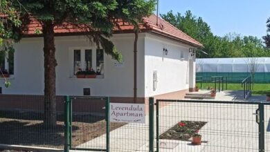 Levendula Apartman Nagyhegyes 