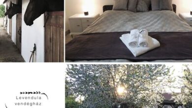 Levendula Vendégház Borsodivánka 