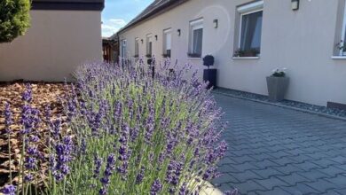 Levendula Vendégház Győr 