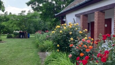 Levendula Vendégház Poroszló 