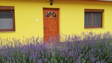 Levendula Vendégház Tiszafüred 