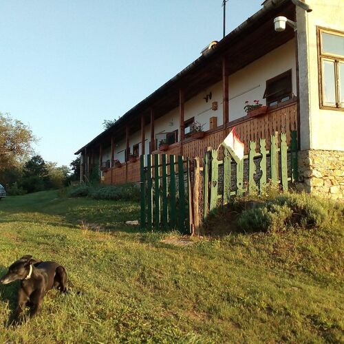 Levendulás Ház Tornabarakony