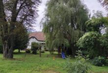 Levendulazug Vendégház Cserháthaláp 