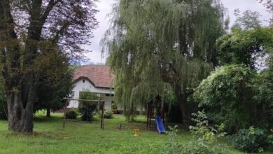 Levendulazug Vendégház Cserháthaláp 