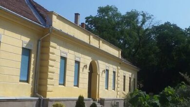 Li-Di Apartman Kalocsa 