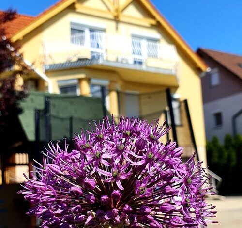 Li-Do Vendégház Balatonfüred 