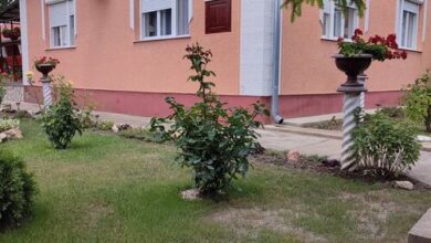 Lili Magánszállás Hajdúszoboszló 