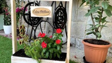 Liliom Apartman Kismaros 