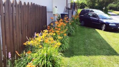 Liliom Apartman Rezi 