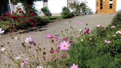 Lipi-Akácliget Vendégház Ófehértó 