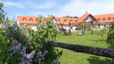 Lóbarát Lovasudvar Panzió Cserszegtomaj 