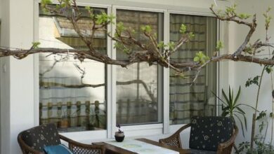 Lótusz Vendégház Balatonszárszó 