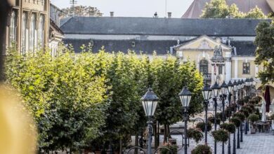 Loulou's Central Boutique Apartman Esztergom 