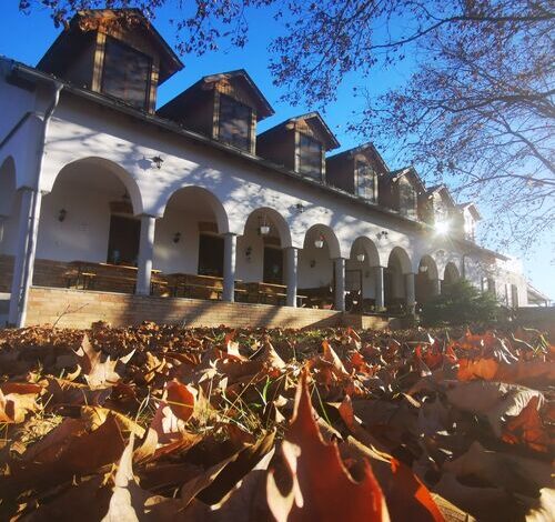 Lovasbarát Fogadó Győrújbarát 