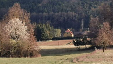 Lugosvölgyi Vendégház Kondorfa 