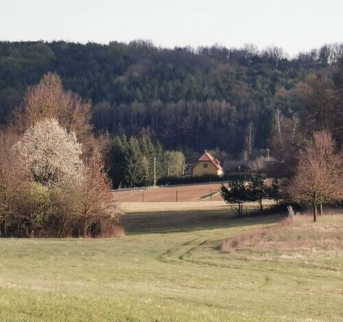 Lugosvölgyi Vendégház Kondorfa 