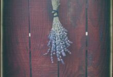 Lukács Vendégház Zamárdi 