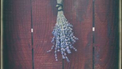 Lukács Vendégház Zamárdi 