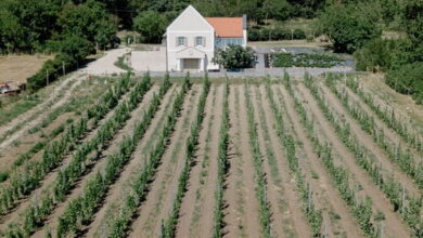 MCS Apartman Szentbékkálla 