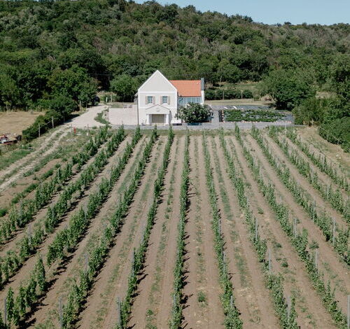 MCS Apartman Szentbékkálla 