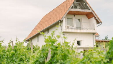 MacskaFészek Vendégház Kissomlyó 