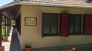 Madarak Éneke Vendégház Berekfürdő 