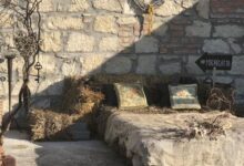 Madárlátta Vendégház Fertőrákos 