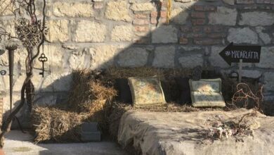 Madárlátta Vendégház Fertőrákos 