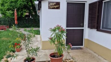 Magdi Vendégház Abádszalók 