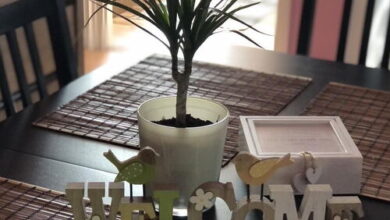 Magnólia Apartman Mezőkövesd 