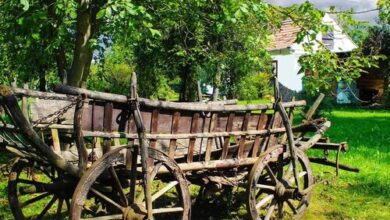 Magnólia Vendégház Megyer 